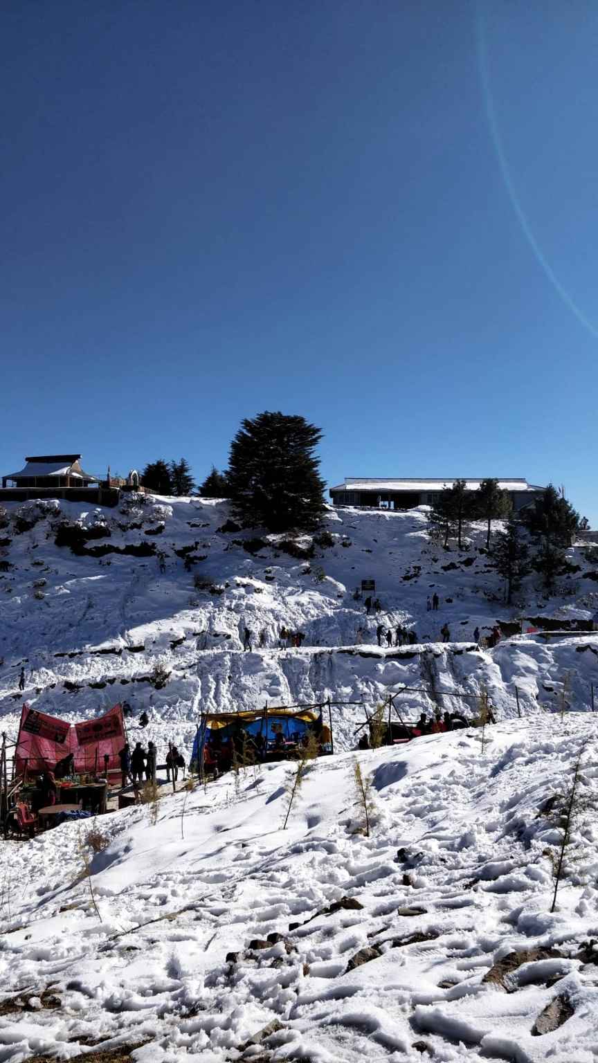 Day 2:- Shimla Sightseeing Tour- Kufri